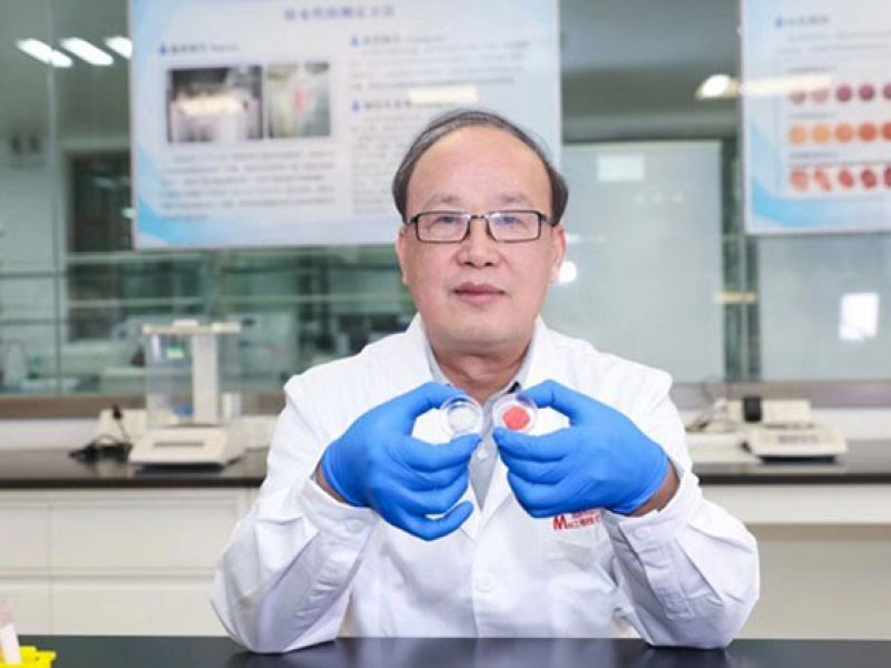 Labgrown meat to go on sale Bukedde Online Amawulire