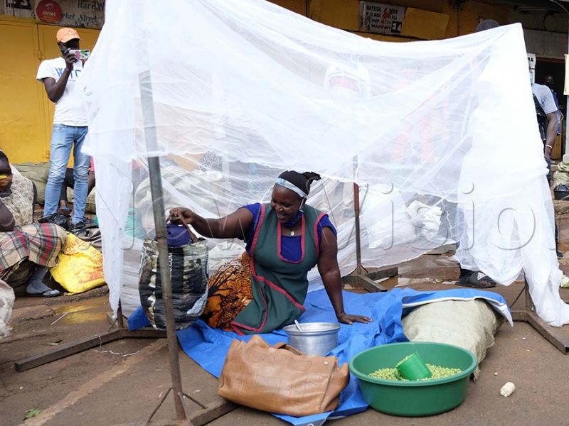 Kampala has least people with mosquito nets — report Bukedde Online