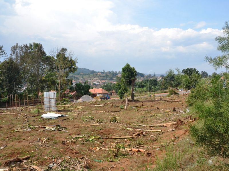 Land row erupts amongst former Masaka mayor s family Bukedde